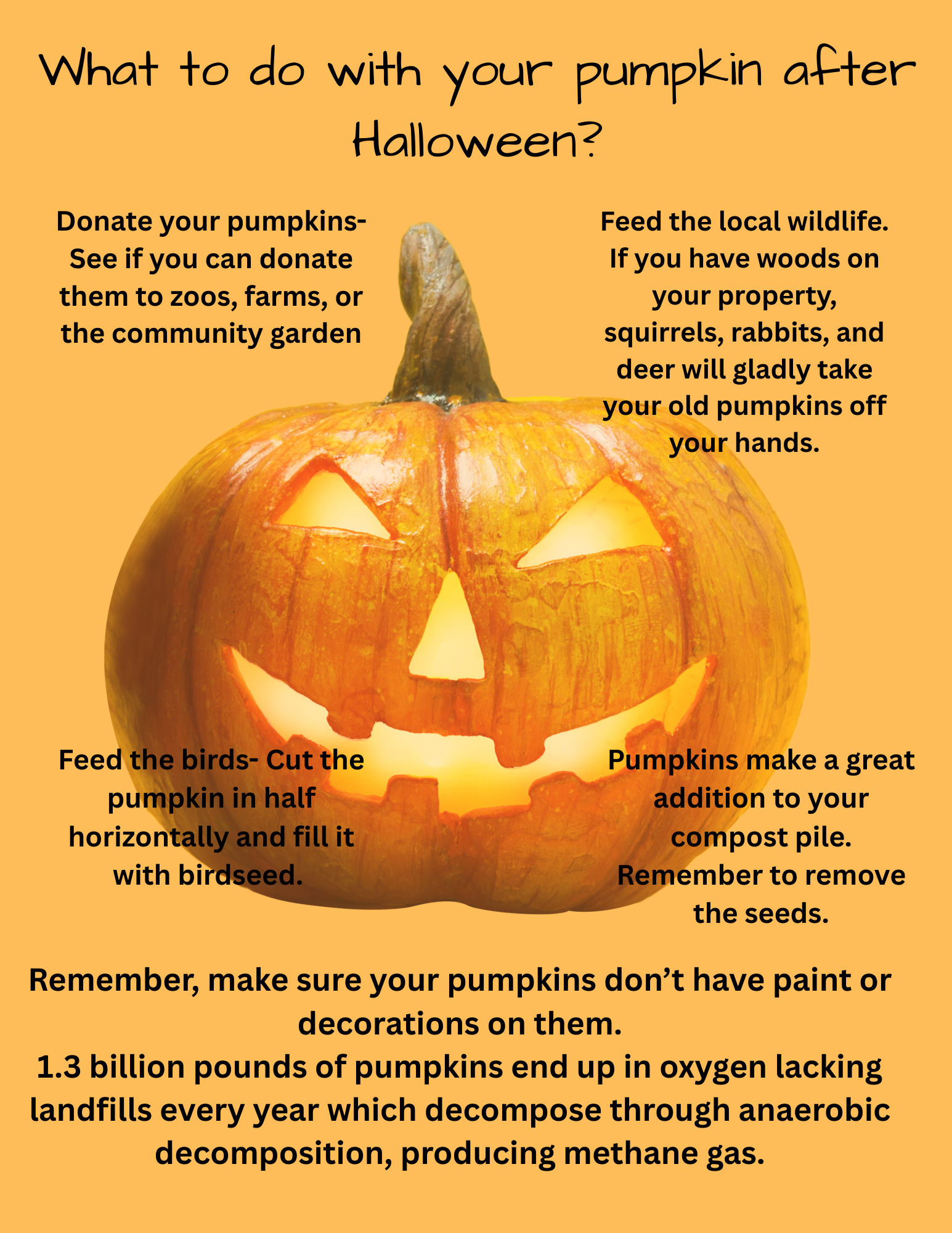 What to do with your pumpkin after Halloween