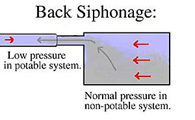 Back Siphonage low pressure in potable system vs normal pressure in non-potable system