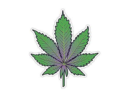 Pot Leaf