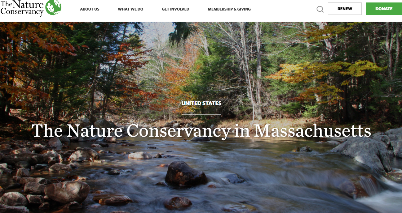 The Nature Conservancy